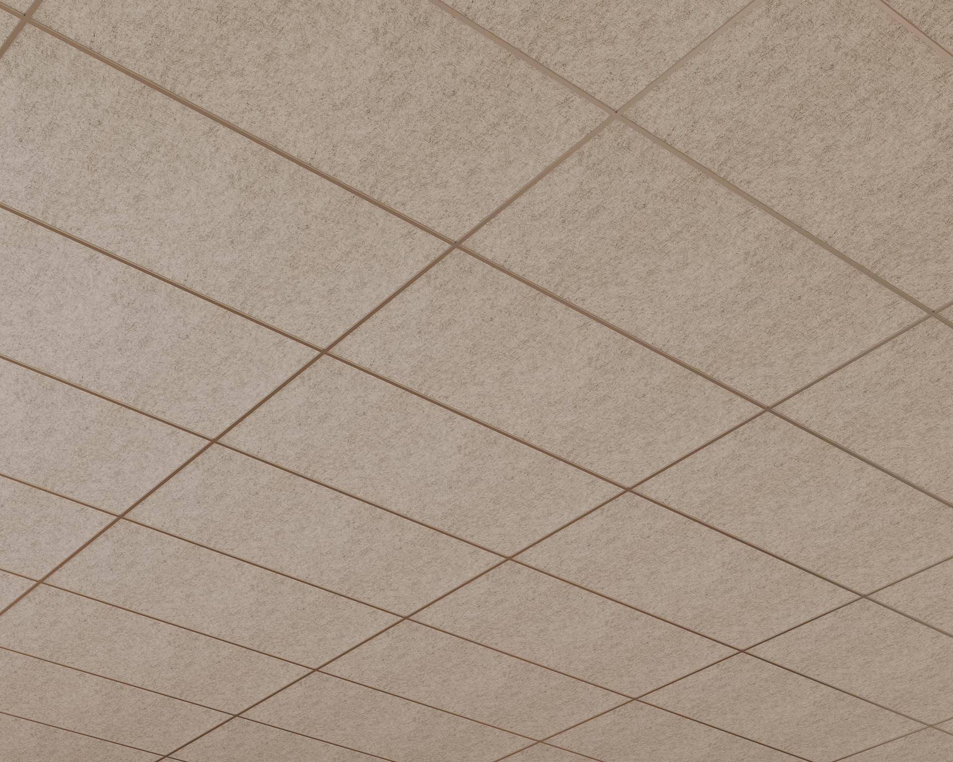 The ceiling features beige acoustic felt tiles arranged in a grid pattern. Their textured surface and even spacing create a structured and uniform appearance.