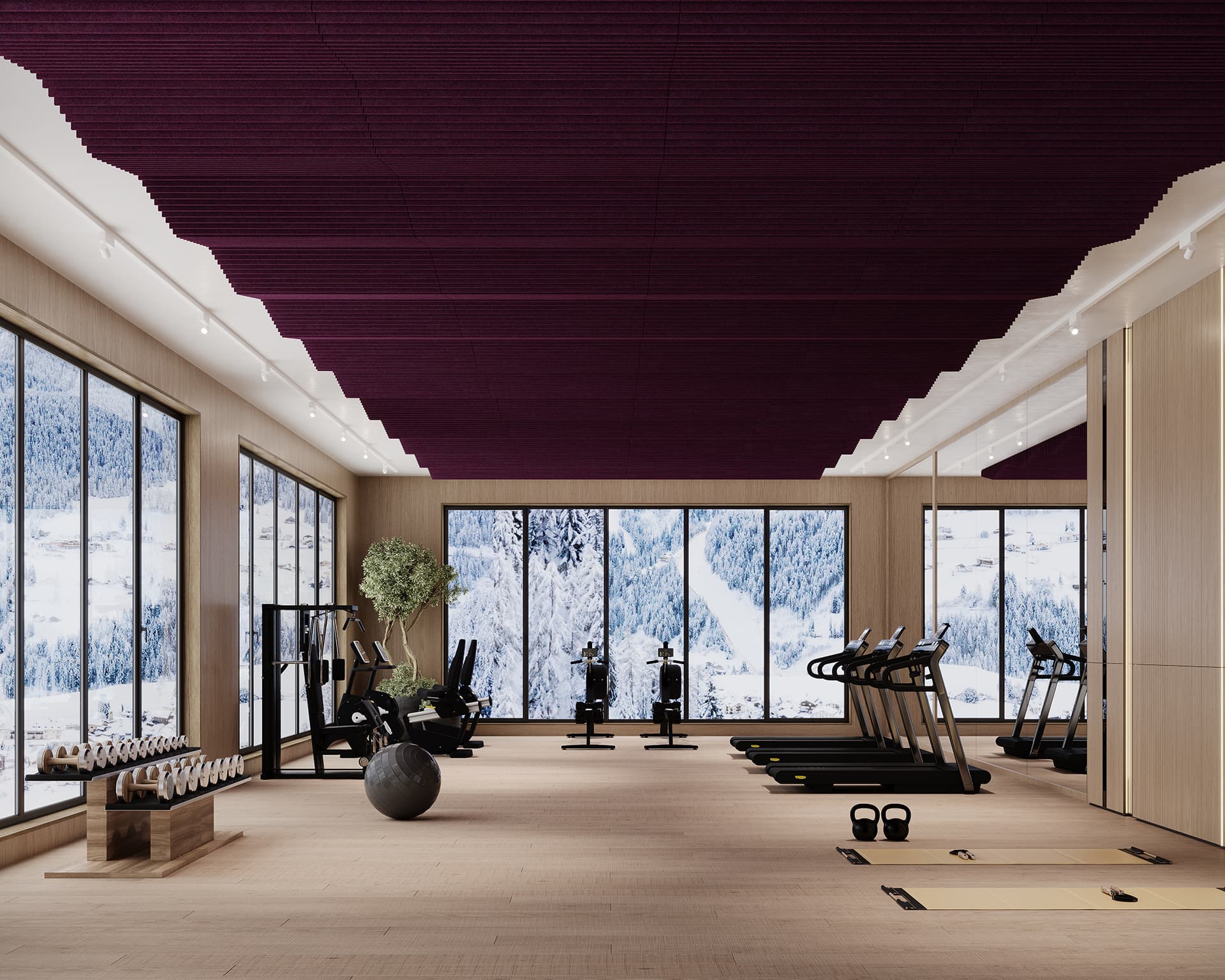 A modern gym with large windows showcasing a snowy mountain landscape. The room features treadmills, exercise bikes, weights, a yoga ball, and a green potted plant. The ceiling has maroon acoustic felt frames, and the floors are light wood.